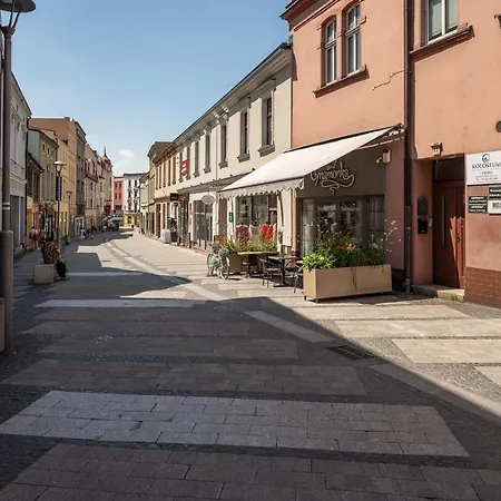 Central Platinum Apartments 19 Rybnik  Exterior foto